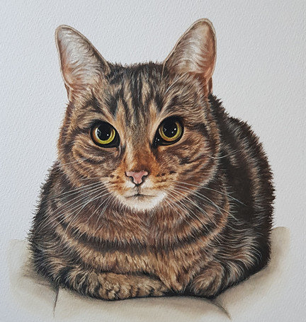 Cat Painting